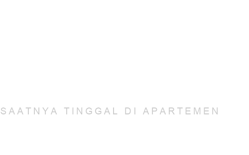 The Newton 2