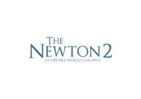 The Newton 2